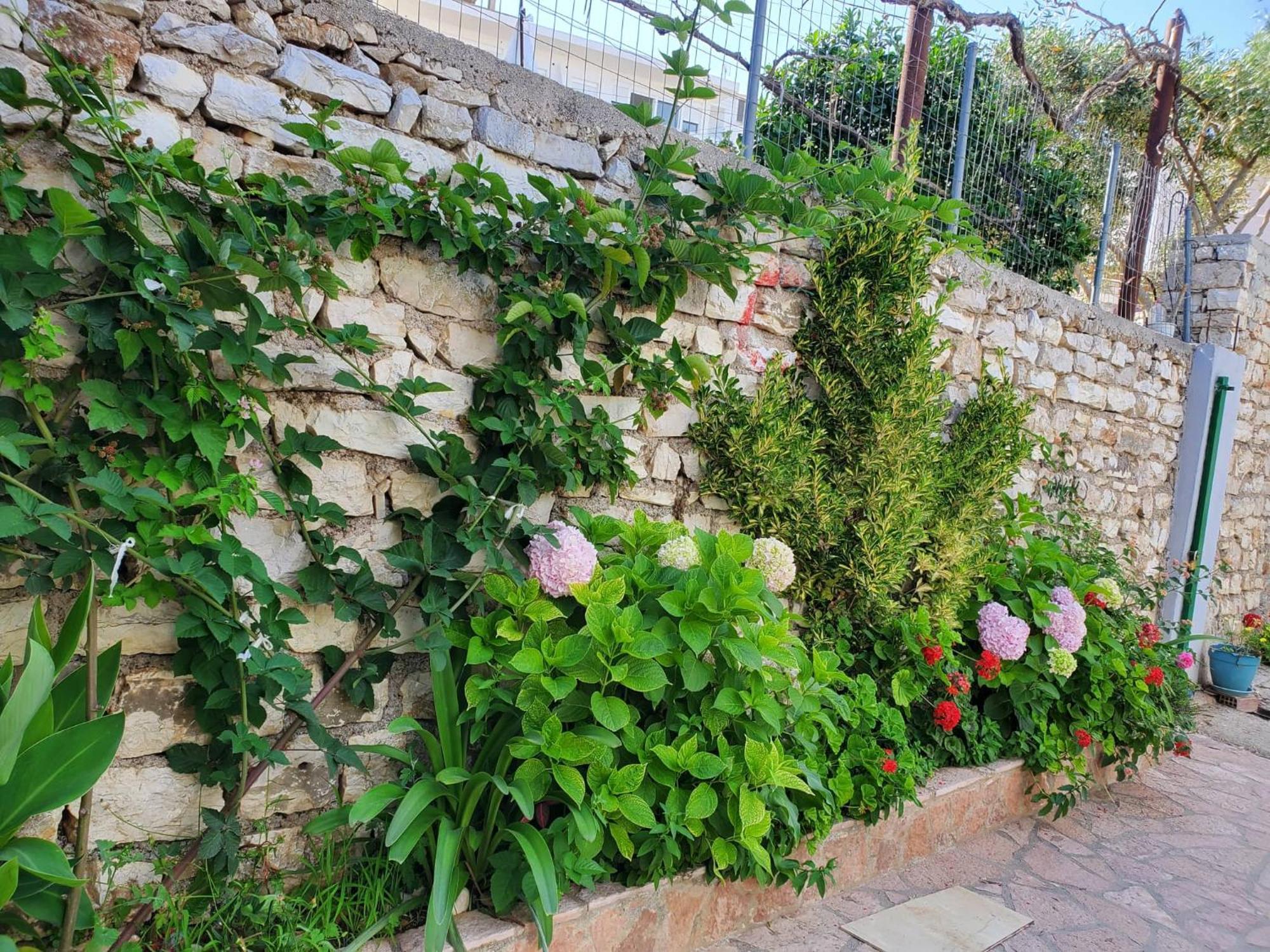 Guest House Sandri ساراندا المظهر الخارجي الصورة